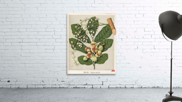 Sarah Featon 021 Wall Preview