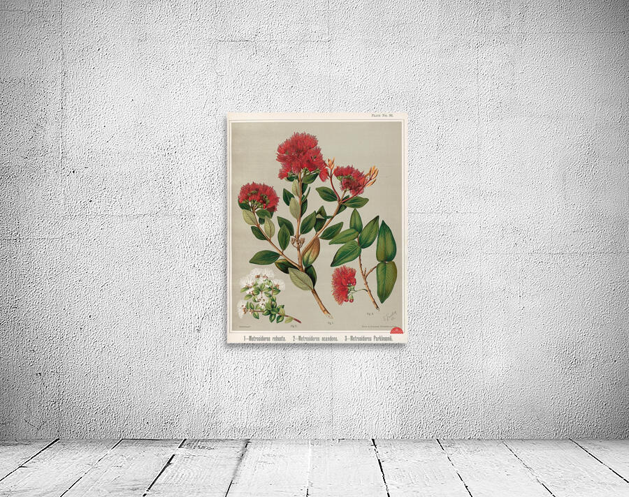 Sarah Featon 001 Wall Preview