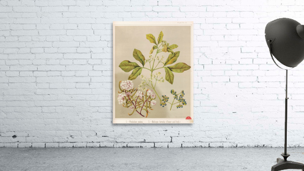 Sarah Featon 006 Wall Preview