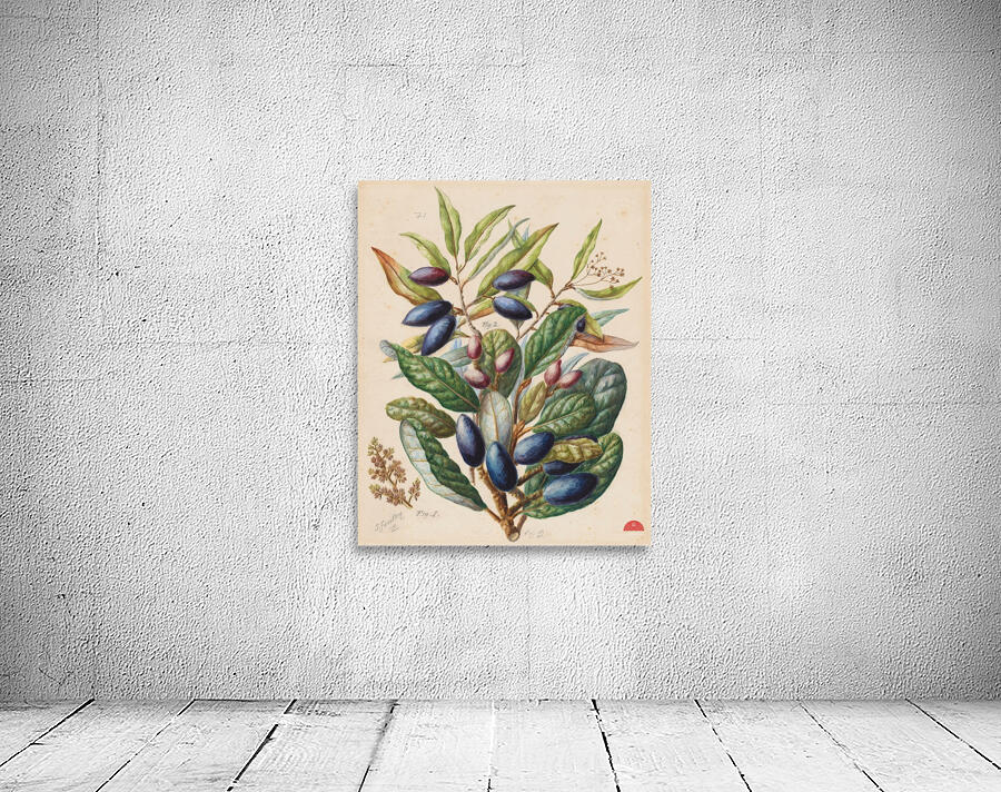 Sarah Featon 014 Wall Preview