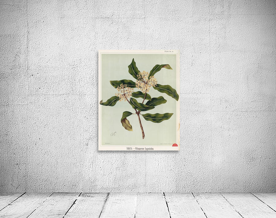 Sarah Featon 030 Wall Preview