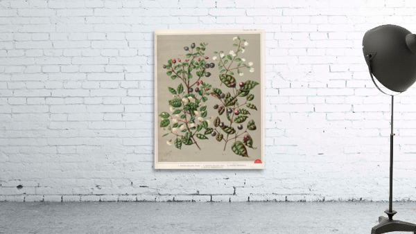 Sarah Featon 011 Wall Preview