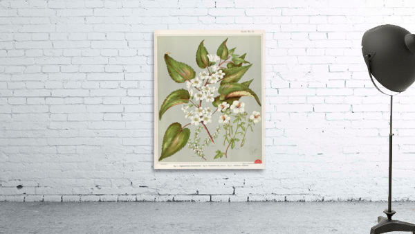 Sarah Featon 016 Wall Preview