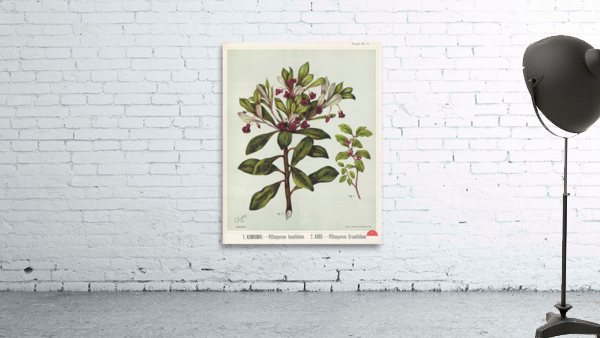 Sarah Featon 010 Wall Preview