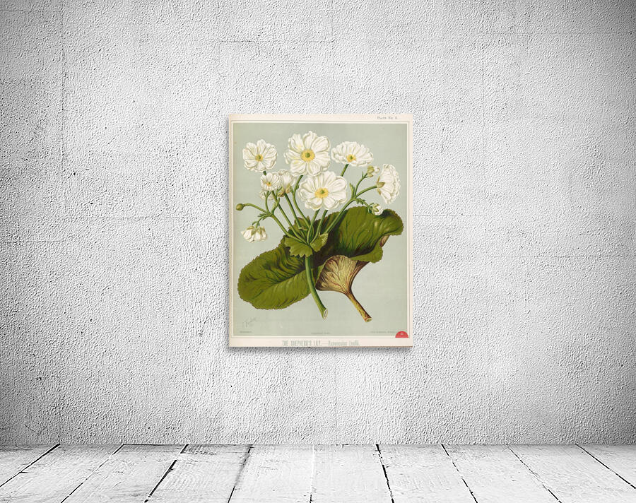 Sarah Featon 033 Wall Preview