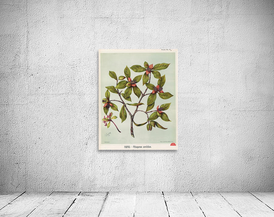 Sarah Featon 027 Wall Preview