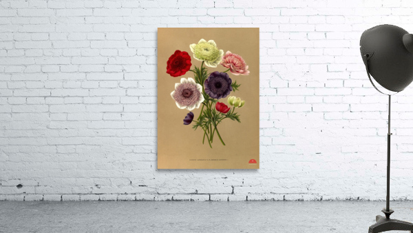 Album van Eeden : Haarlems flora : 1872-1881 Wall Preview