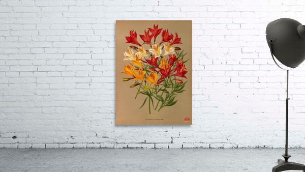 Album van Eeden : Haarlems flora : 1872-1881 Wall Preview