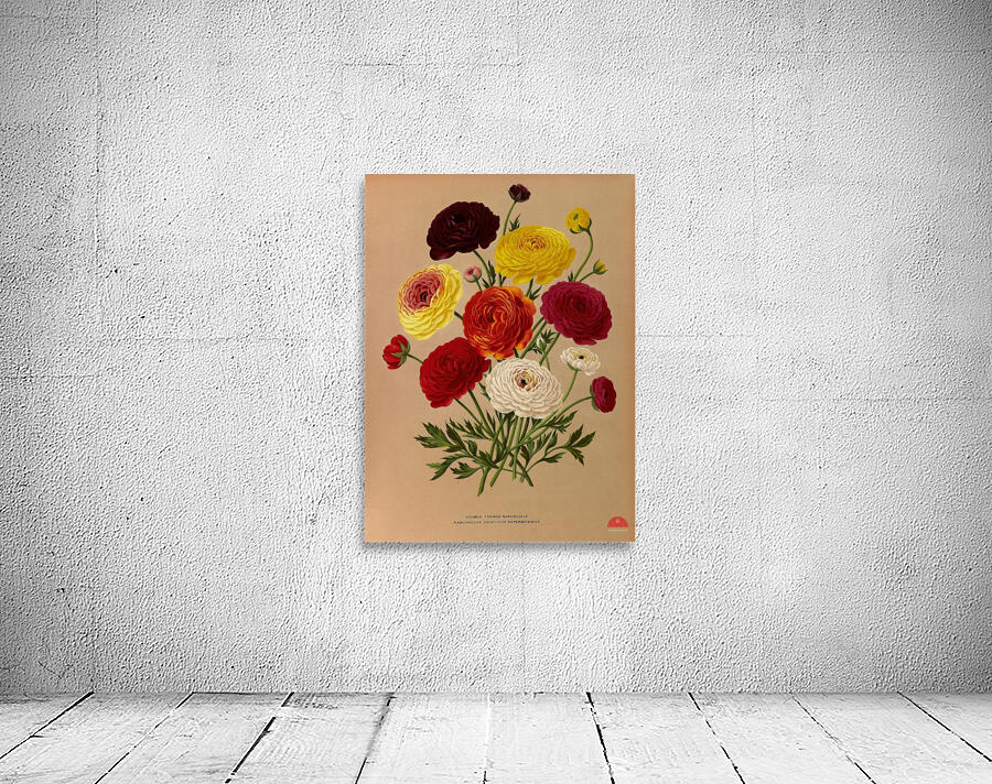 Album van Eeden : Haarlems flora : 1872-1881 Wall Preview