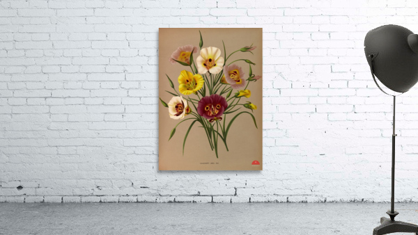 Album van Eeden : Haarlems flora : 1872-1881 Wall Preview