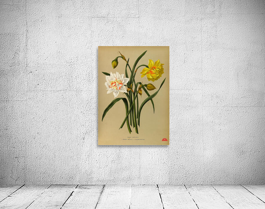 Album van Eeden : Haarlems flora : 1872-1881 Wall Preview