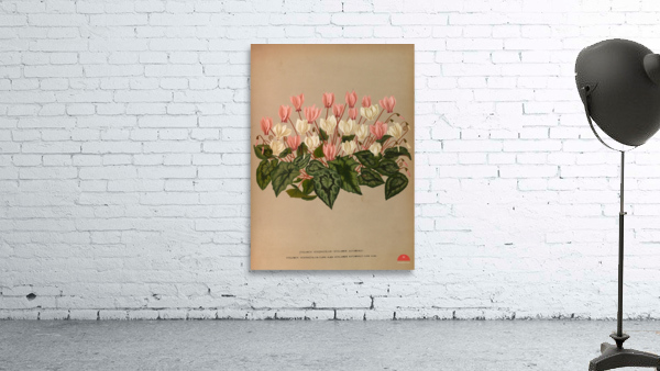 Album van Eeden : Haarlems flora : 1872-1881 Wall Preview