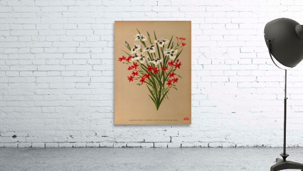 Album van Eeden : Haarlems flora : 1872-1881 Wall Preview