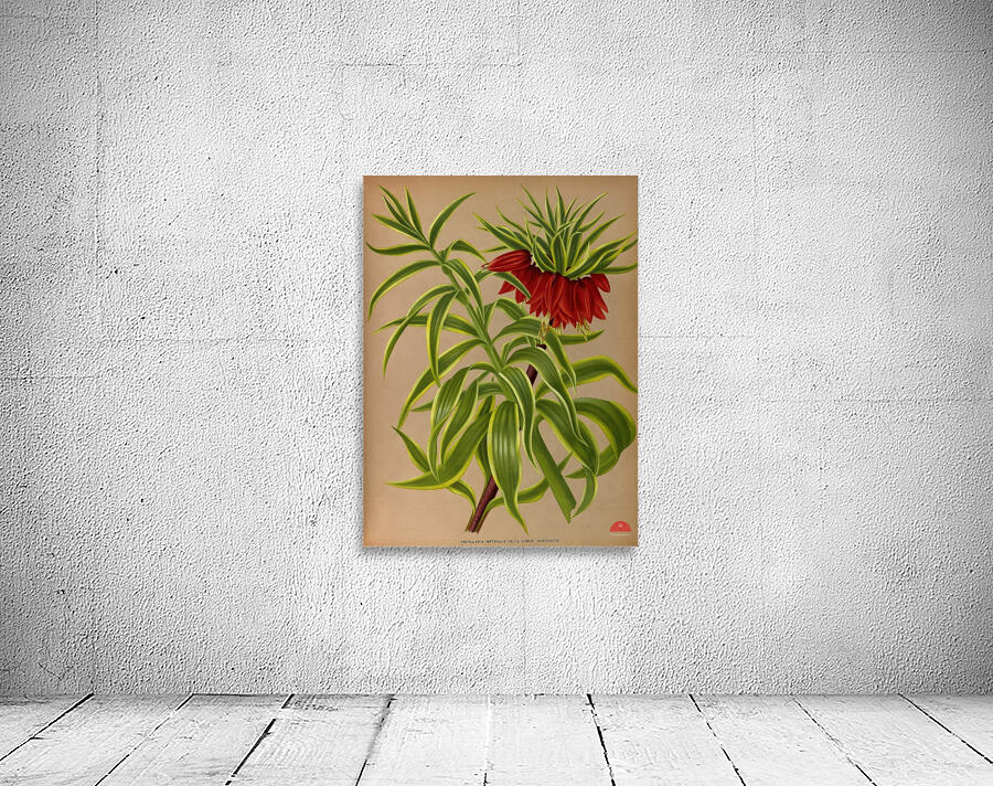 Album van Eeden : Haarlems flora : 1872-1881 Wall Preview