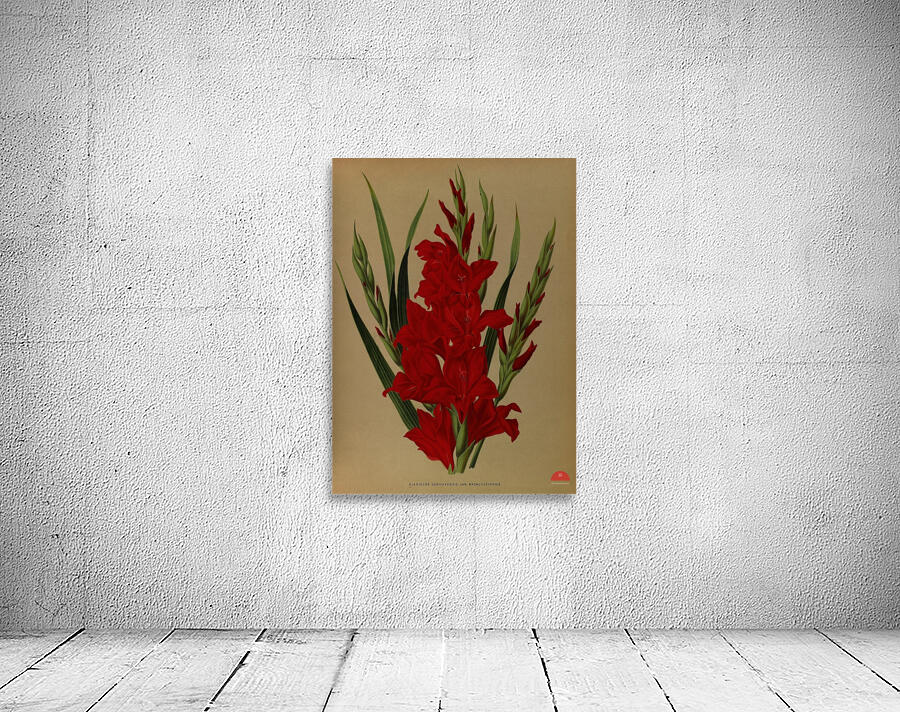 Album van Eeden : Haarlems flora : 1872-1881 Wall Preview