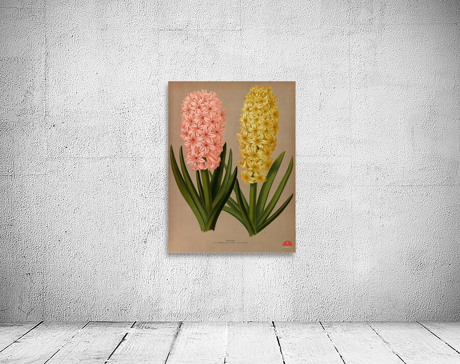 Album van Eeden : Haarlems flora : 1872-1881 Wall Preview