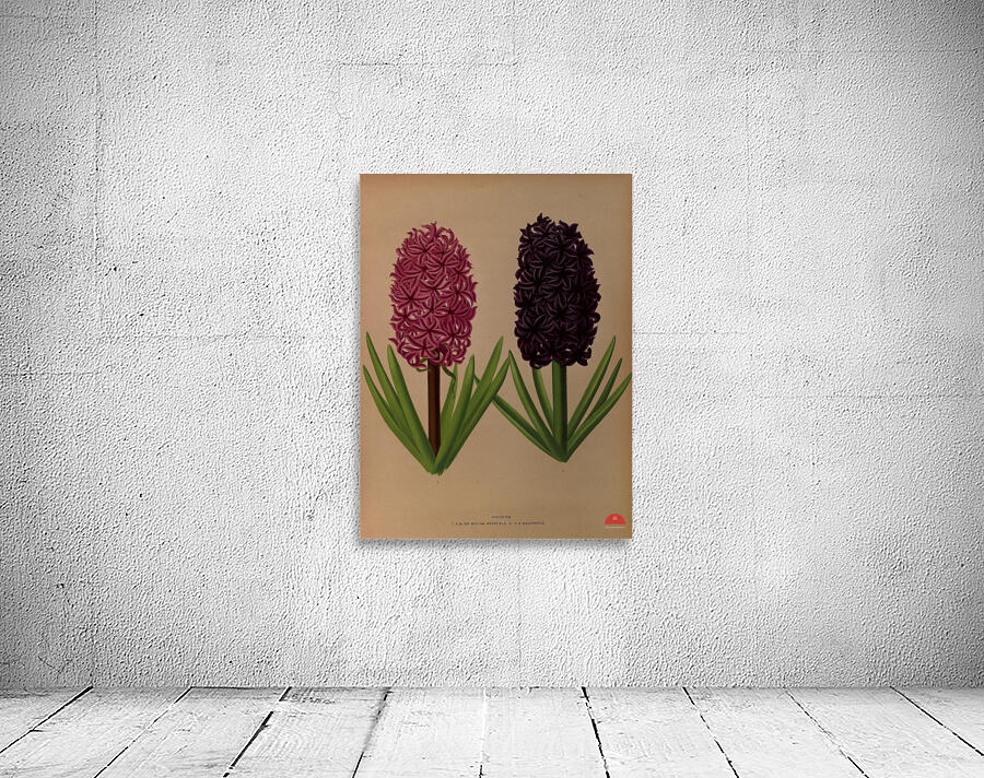 Album van Eeden : Haarlems flora : 1872-1881 Wall Preview