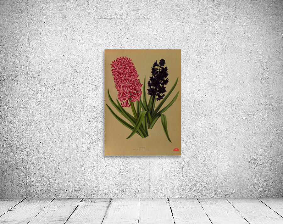 Album van Eeden : Haarlems flora : 1872-1881 Wall Preview