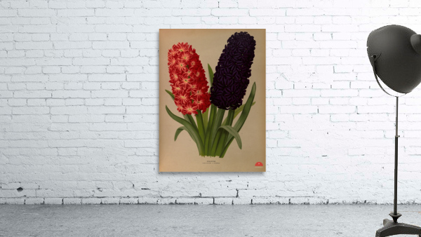 Album van Eeden : Haarlems flora : 1872-1881 Wall Preview