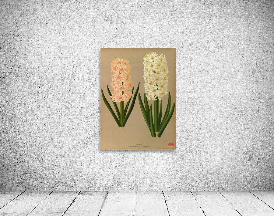 Album van Eeden : Haarlems flora : 1872-1881 Wall Preview