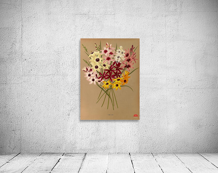 Album van Eeden : Haarlems flora : 1872-1881 Wall Preview