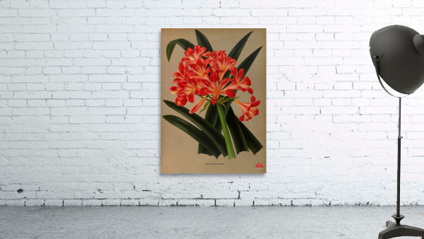 Album van Eeden : Haarlems flora : 1872-1881 Wall Preview