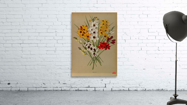 Album van Eeden : Haarlems flora : 1872-1881 Wall Preview