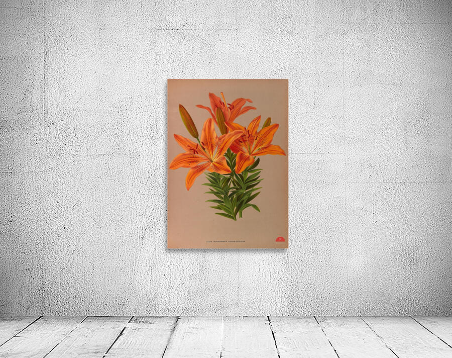 Album van Eeden : Haarlems flora : 1872-1881 Wall Preview