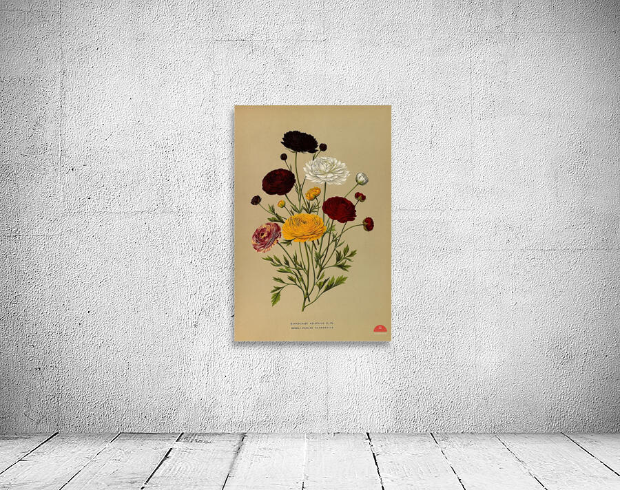 Album van Eeden : Haarlems flora : 1872-1881 Wall Preview