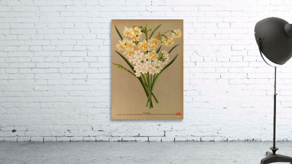 Album van Eeden : Haarlems flora : 1872-1881 Wall Preview