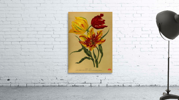 Album van Eeden : Haarlems flora : 1872-1881 Wall Preview