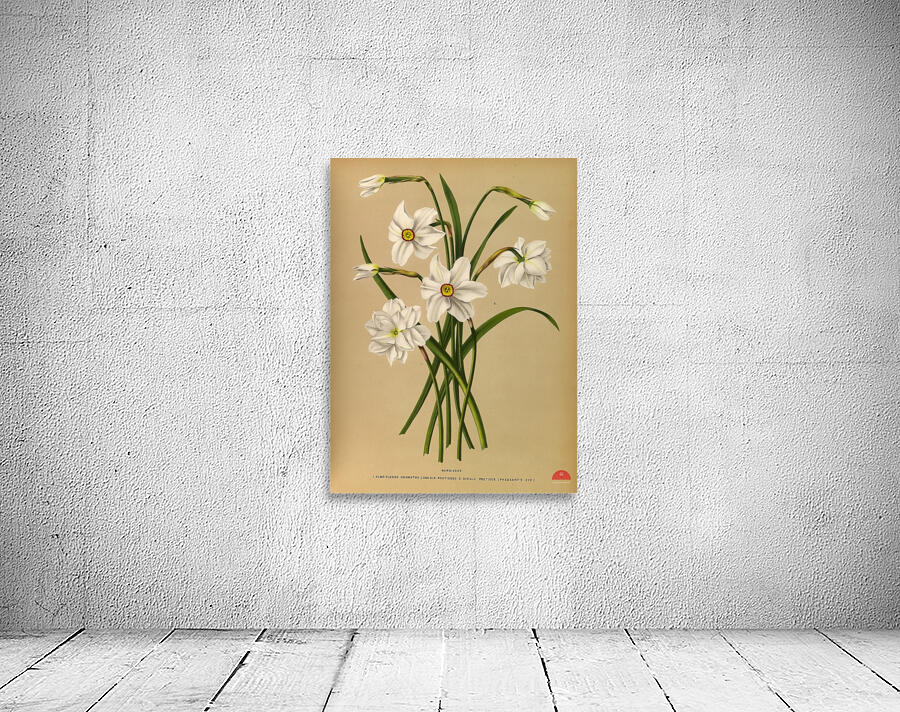 Album van Eeden : Haarlems flora : 1872-1881 Wall Preview