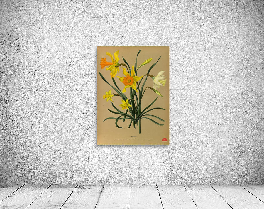 Album van Eeden : Haarlems flora : 1872-1881 Wall Preview