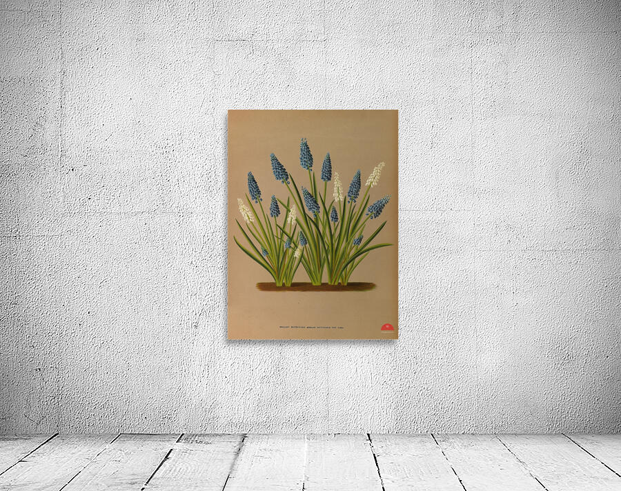 Album van Eeden : Haarlems flora : 1872-1881 Wall Preview