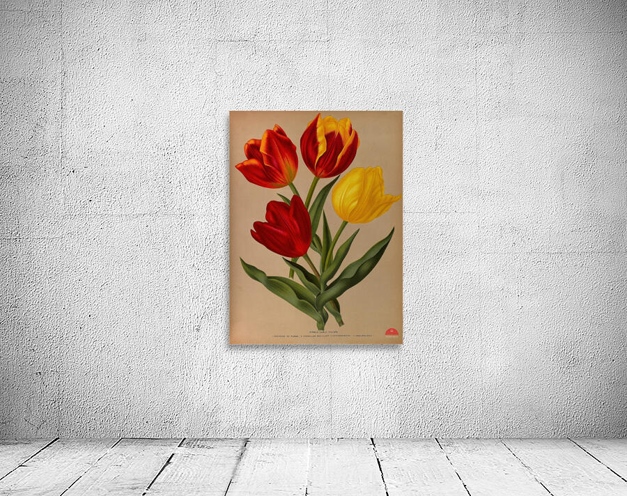 Album van Eeden : Haarlems flora : 1872-1881 Wall Preview