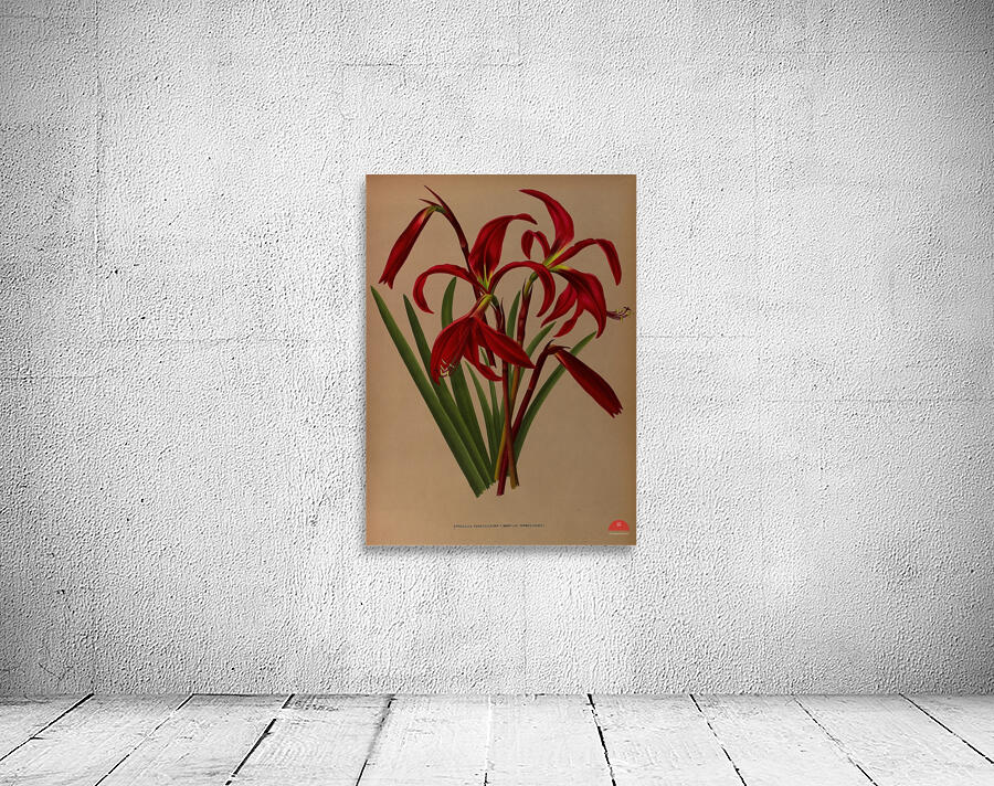 Album van Eeden : Haarlems flora : 1872-1881 Wall Preview