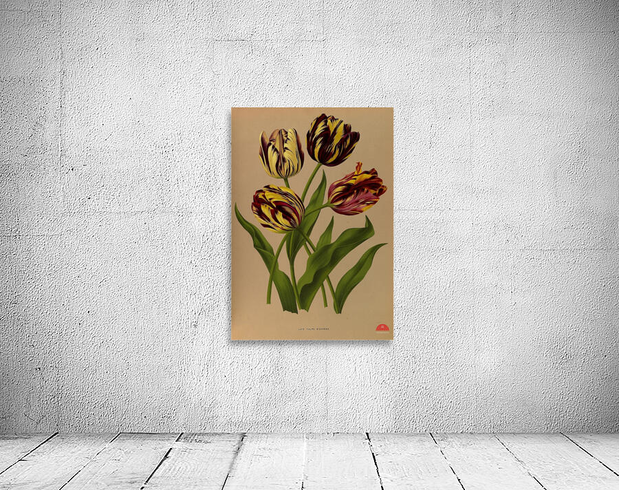 Album van Eeden : Haarlems flora : 1872-1881 Wall Preview