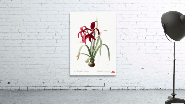 Lily illustration  Wall Preview