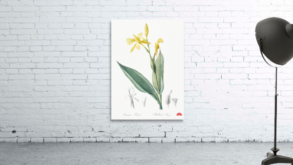 Bandana of the everglades illustration  Wall Preview