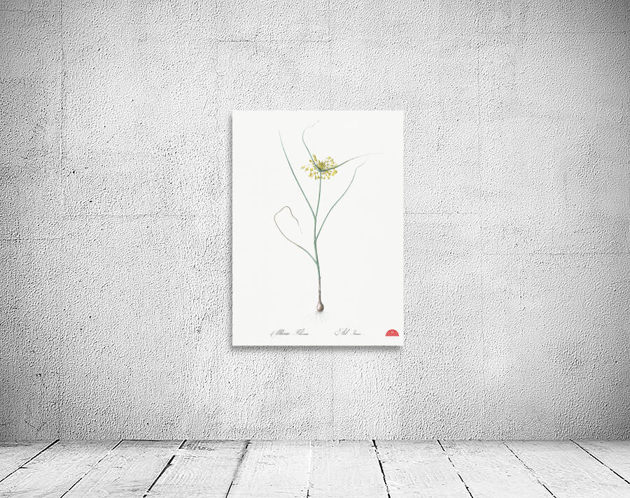 Small yellow onion illustration  Wall Preview