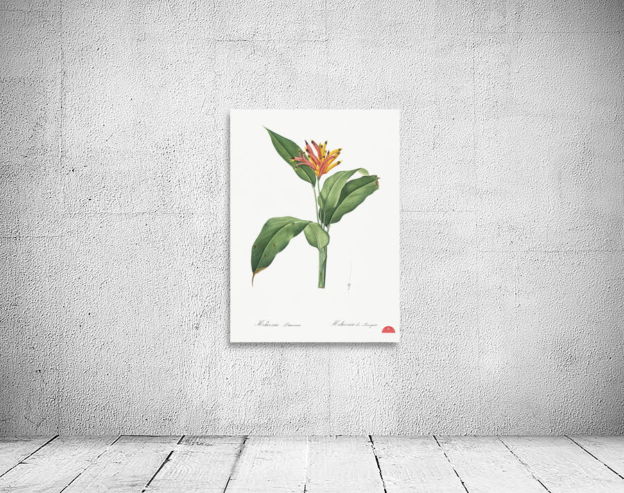 Lobster claws illustration  Wall Preview