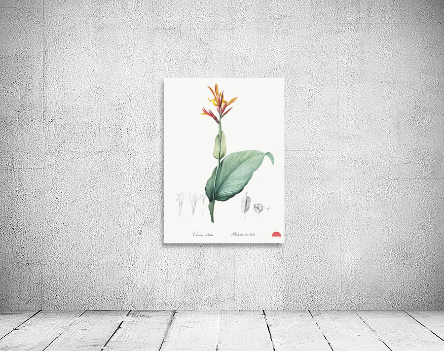 Indian shot illustration  Wall Preview