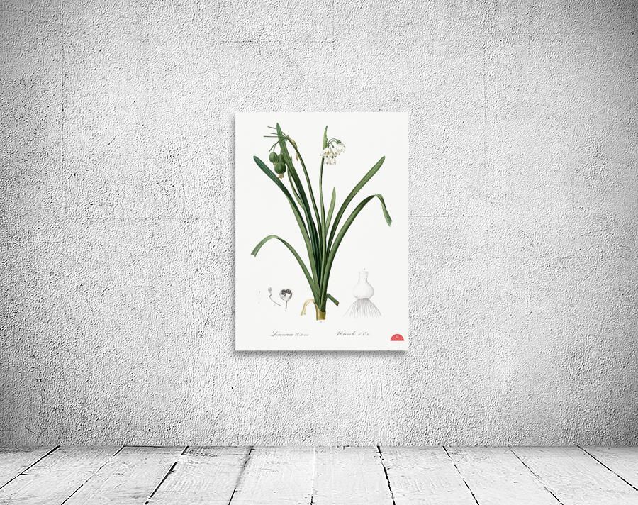 Summer snowflake illustration  Wall Preview