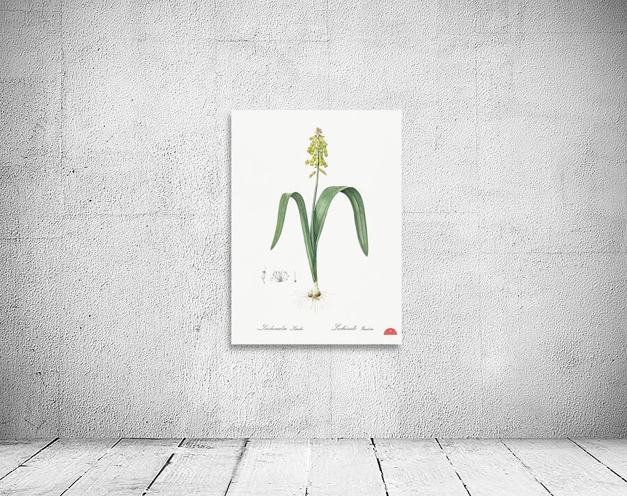 Opal flower illustration  Wall Preview