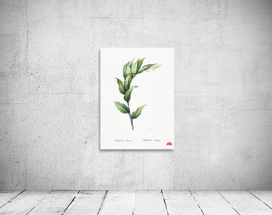 Treacleberry illustration  Wall Preview