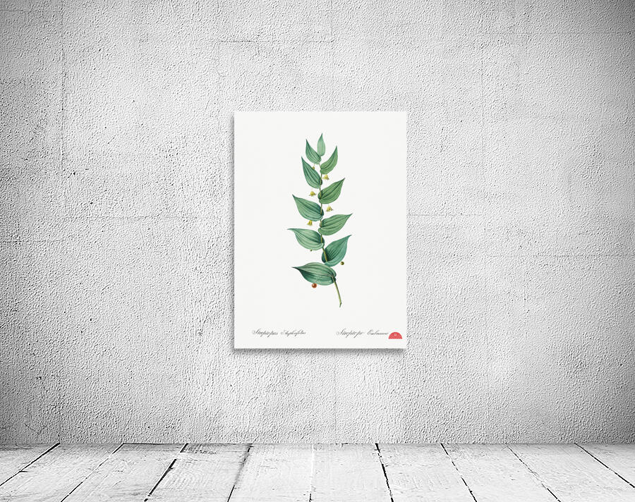 Twistedstalk illustration  Wall Preview