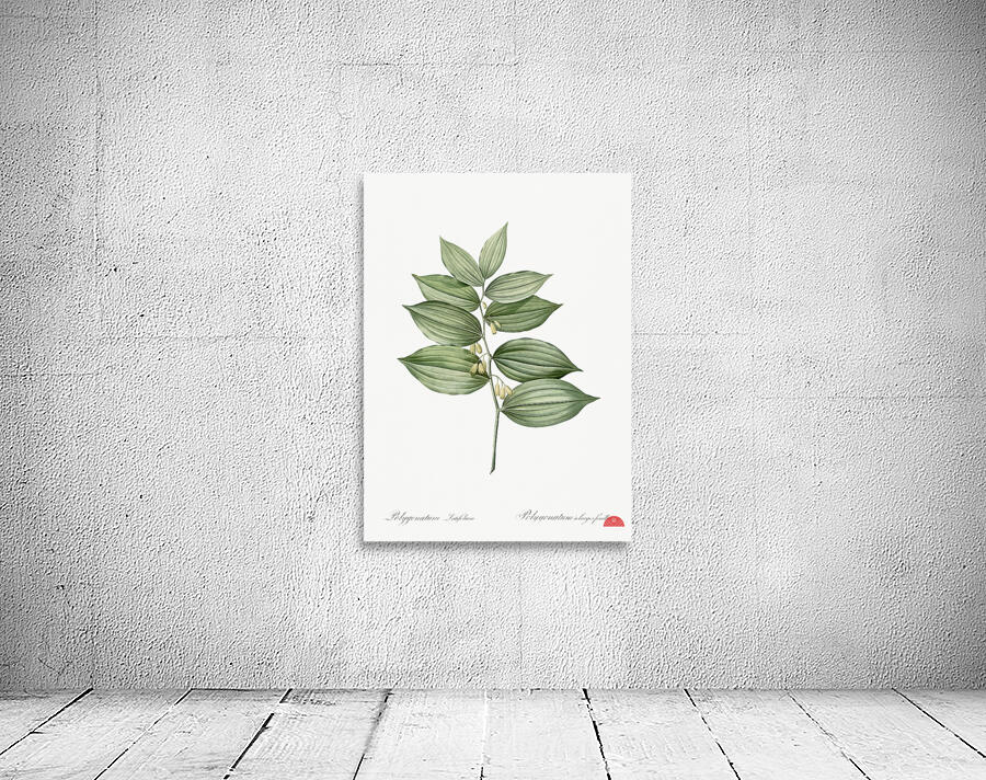 King Solomon seal illustration  Wall Preview