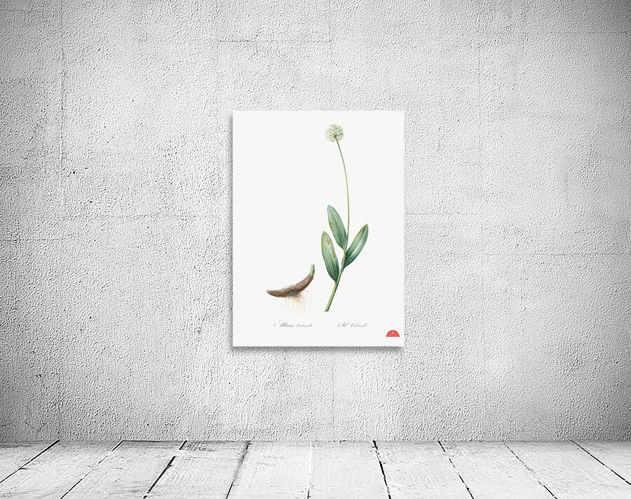 Victory onion illustration  Wall Preview