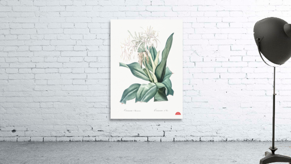 Poison bulb illustration  Wall Preview