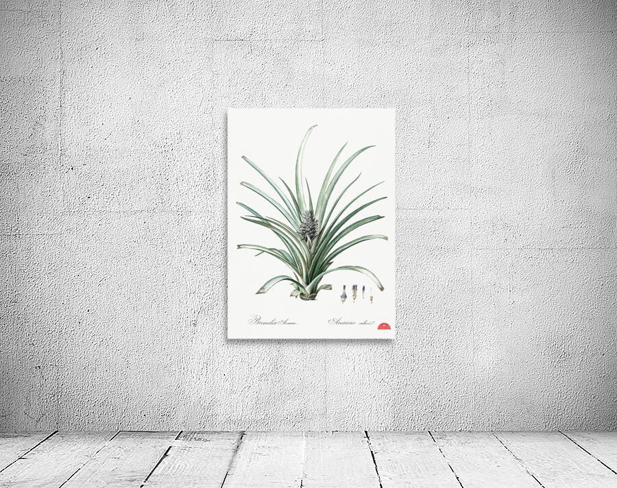 Pineapple illustration  Wall Preview
